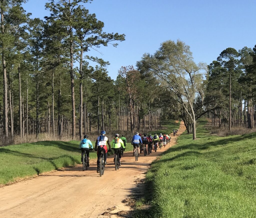 Cyclists riding the Dirty Pecan Gravel Ride on a red clay road surrounded by tall pine trees in Georgia