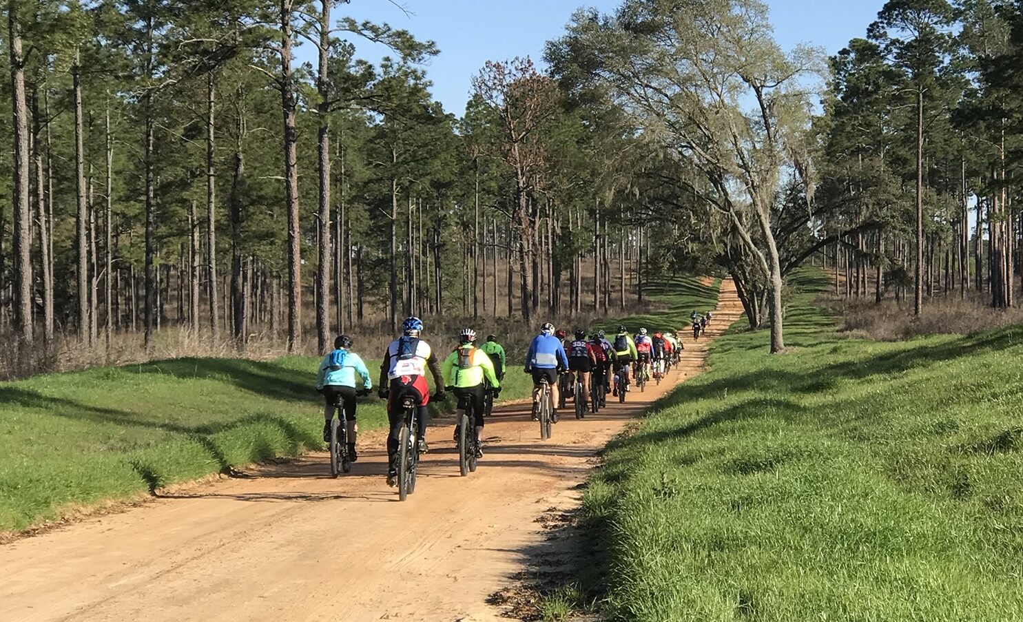Cyclists riding the Dirty Pecan Gravel Ride on a red clay road surrounded by tall pine trees in Georgia